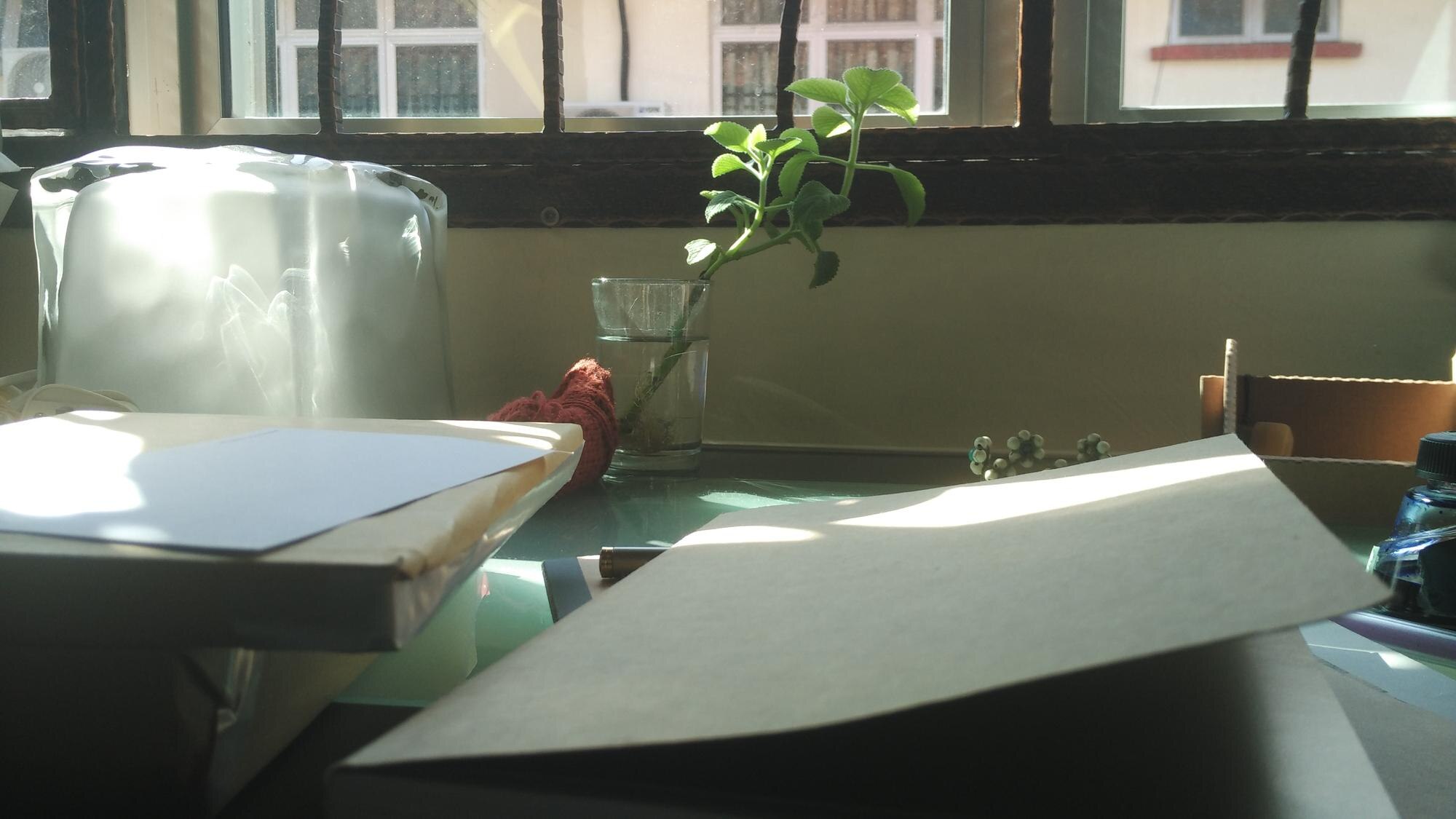 Why Detailed Photographic Evidence is Key to Preventing Deposit Disputes